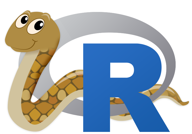 reticulate package logo